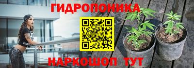 ПСИЛОЦИБИНОВЫЕ ГРИБЫ Донской